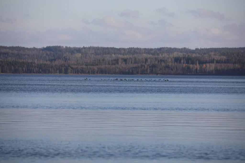 Sjoenaera Stuga Med Bat Och Bastu Ramkvilla Esterno foto